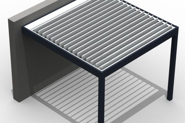 Model (4)